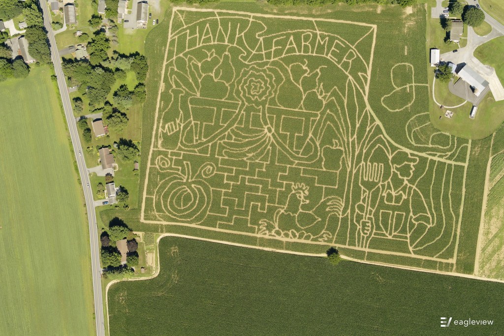 A large field has paths mowed into it to form an intricate design that reads "Thank A Farmer" above shapes of a vegetable basket, pumpkin, chicken and a man holding a pitchfork.