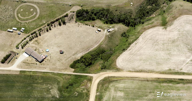 In the upper left corner of a landscape is a large smiley face shape mowed into the lawn.