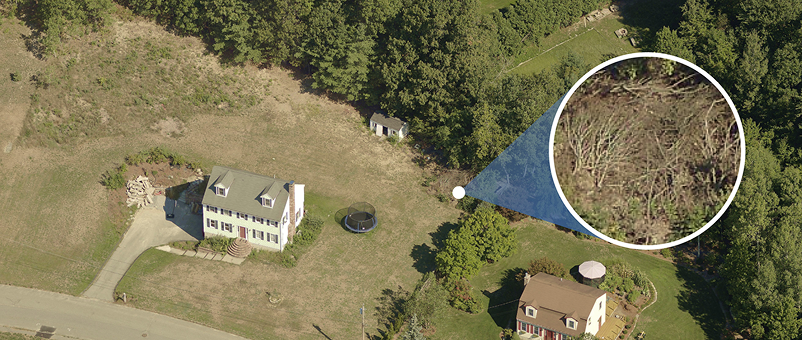 Aerial image of a house in wooded area.